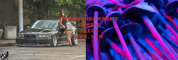 твердый Бородино