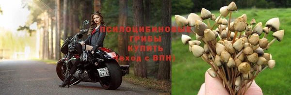 твердый Бородино