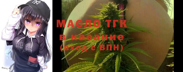 твердый Бородино