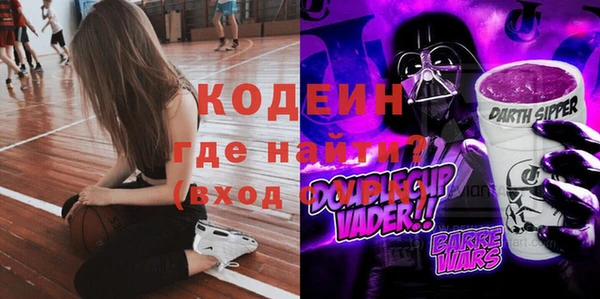 твердый Бородино