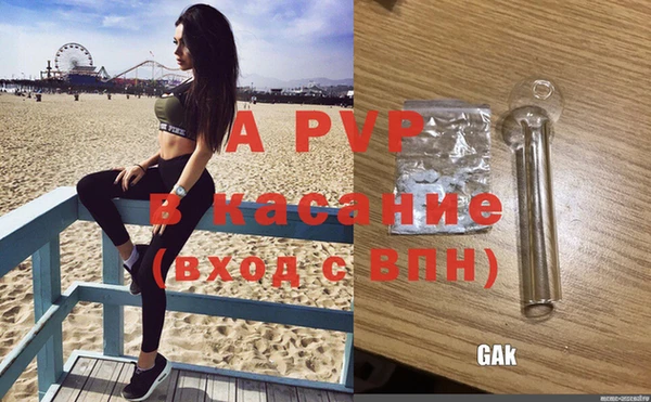 твердый Бородино