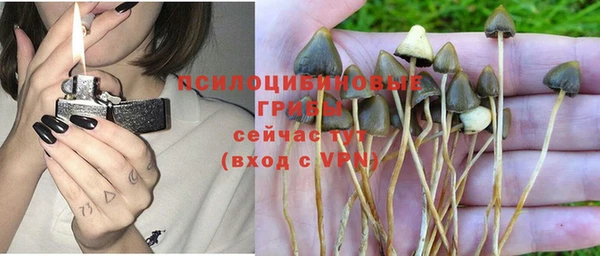 apvp Бронницы