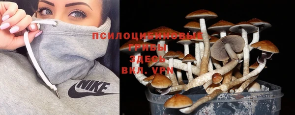 винт Бугульма