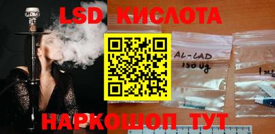 спиды Владимир
