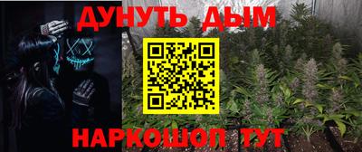 спиды Владимир