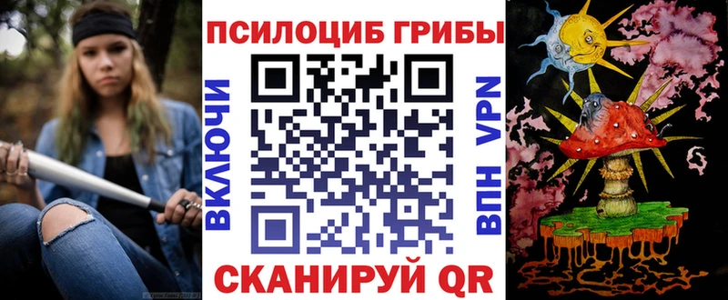 купить наркоту Бугуруслан Псилоцибиновые грибы Psilocybe
